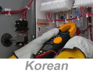 Recognizing Electrical Hazards Awareness (Korean)